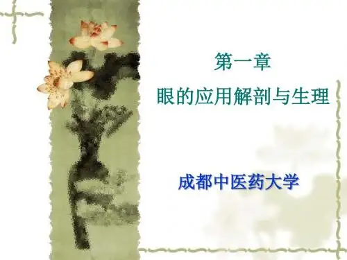 第一章眼的应用解剖与生理
