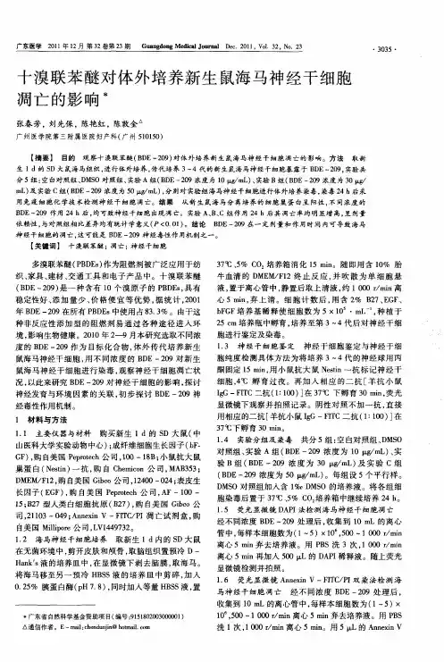 十溴联苯醚对体外培养新生鼠海马神经干细胞凋亡的影响