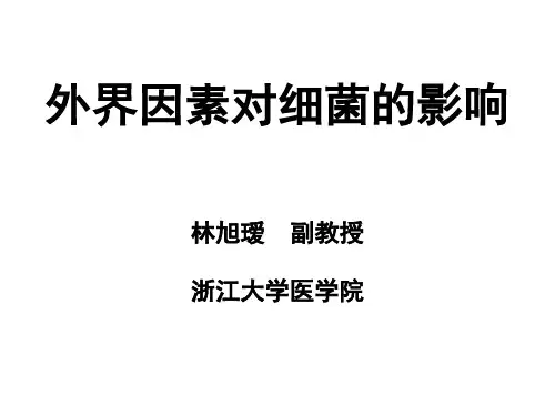 细菌耐药性