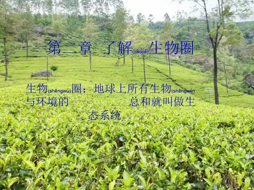 七年级生物上册第一单元第二章《了解生物圈》第一节《生物与环境的关系》