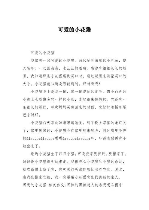 小学二年级作文：可爱的小花猫