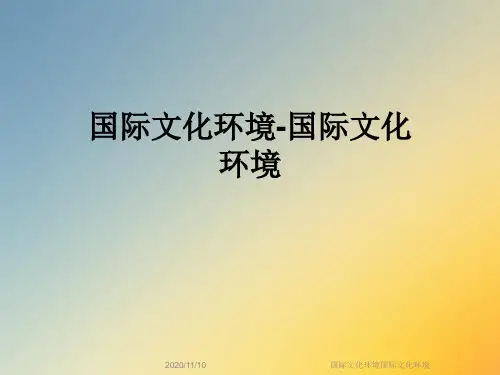 国际文化环境国际文化环境