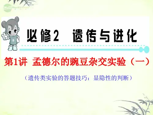 高考生物第1轮总复习 第1讲 孟德尔的豌豆杂交实验(一)课件 新人教版必修2(福建专版)