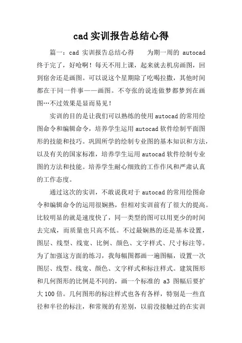cad实训报告总结心得