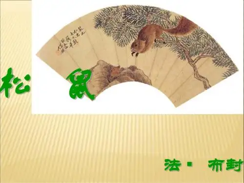 《松鼠》教学课件2