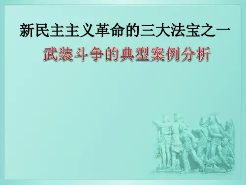 武装斗争的典型案例分析