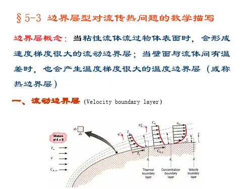 传热学-第五章3-4