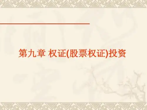 09权证和期权投资
