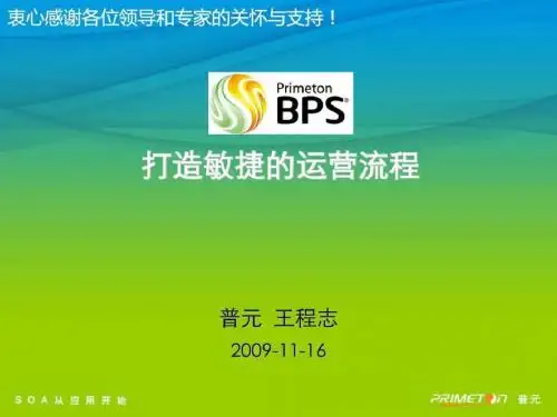 普元流程平台-BPS介绍.ppt66页PPT