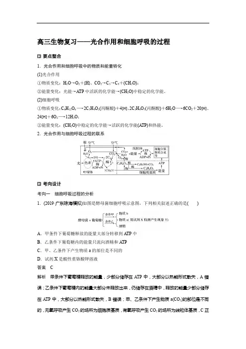 高三生物复习——光合作用和细胞呼吸的过程