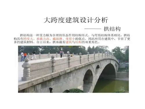大跨度建筑的案例分析共19页文档