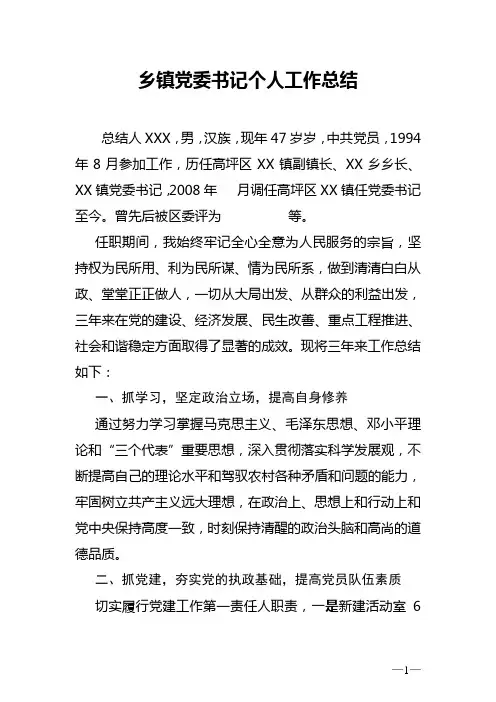 乡镇党委书记个人工作总结