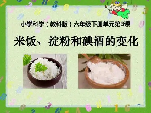 《米饭、淀粉和碘酒的变化》物质的变化PPT课件