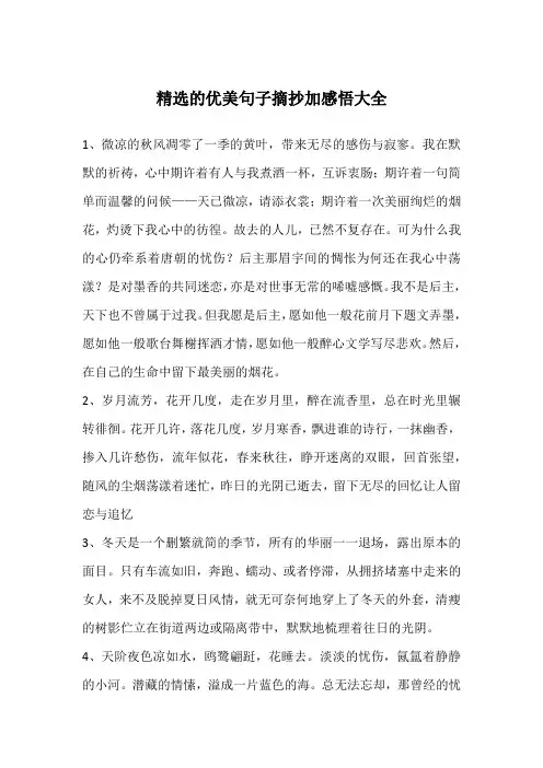 精选的优美句子摘抄加感悟大全