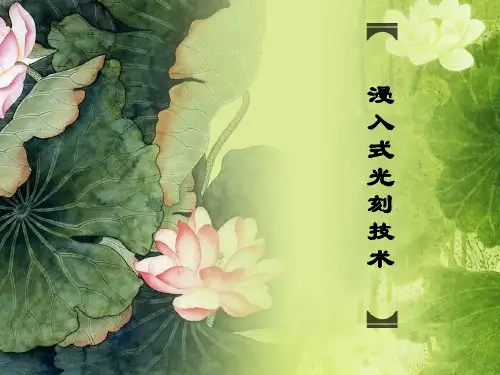 浸入式光刻技术.