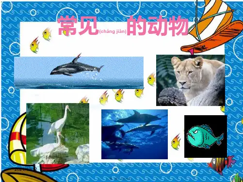 七年级科学上册常见的动物_1