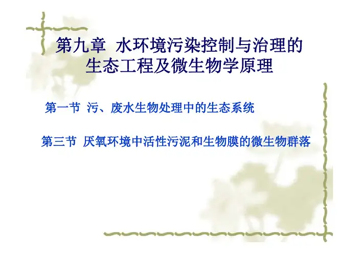 上海师范大学环境微生物第九章
