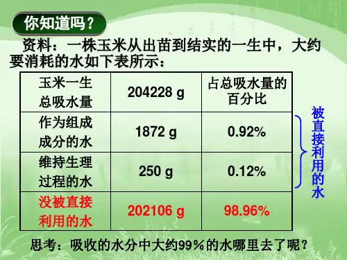 保卫细胞气孔