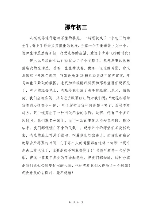 那年初三_初三作文
