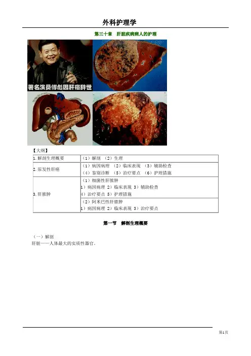 肝脏疾病病人的护理 精华版