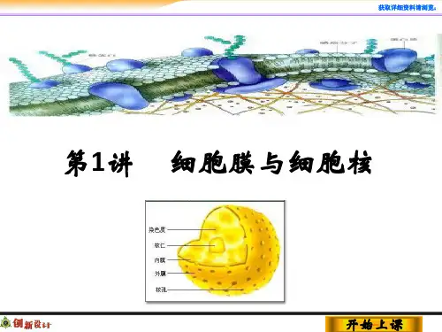 1-2-1高中生物必修一一轮复习
