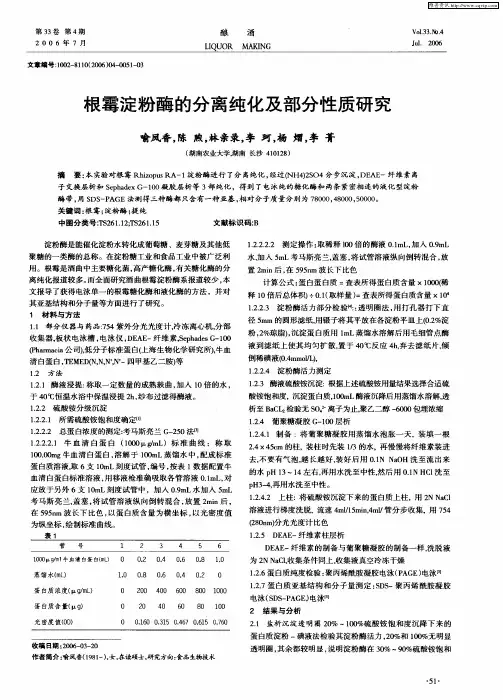根霉淀粉酶的分离纯化及部分性质研究