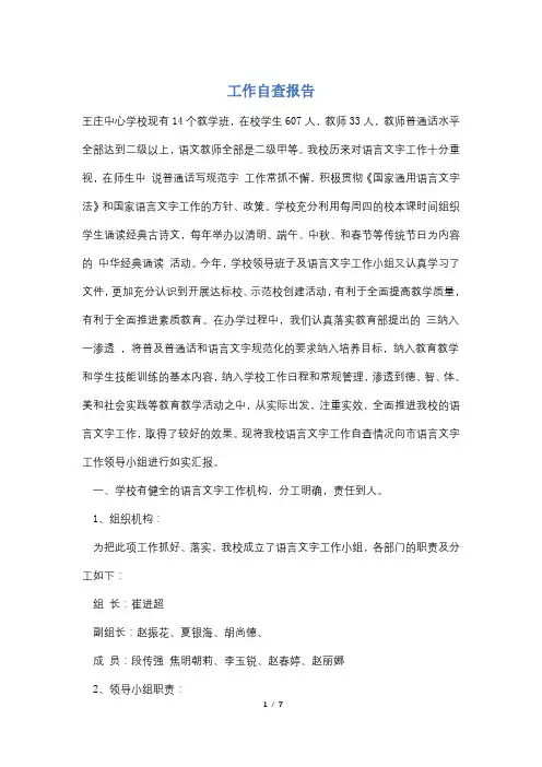 工作自查报告