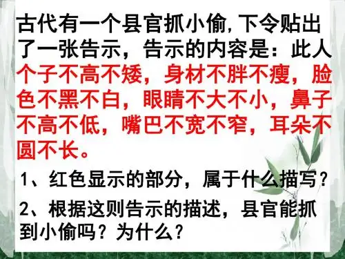 人物外貌描写