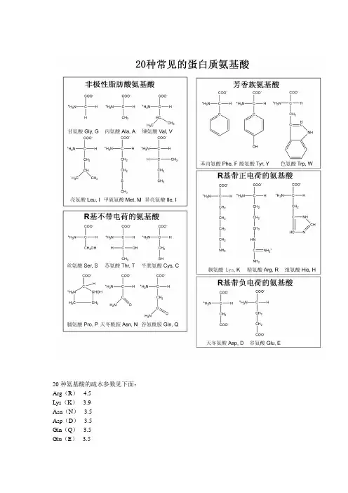 氨基酸性质及分类