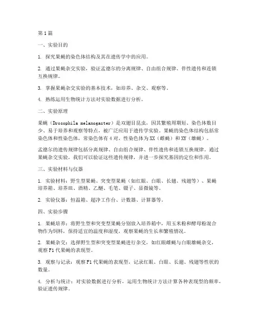 果蝇的探究实验报告(3篇)