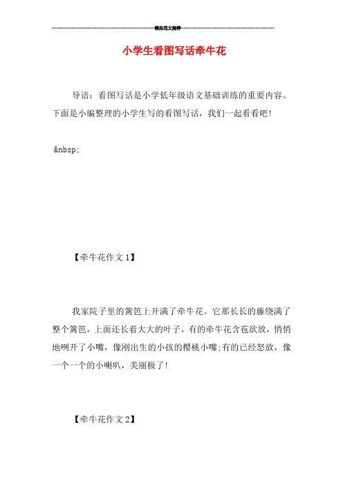 小学生看图写话牵牛花