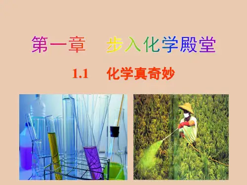 最新鲁教版九年级化学上册全套PPT课件