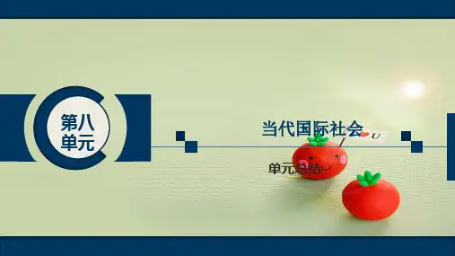 青岛二中2021届高考政治复习-第四单元 当代国际社会(单元总结)(课件)(必修2)