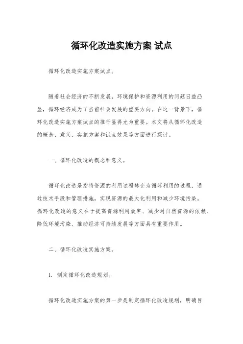 循环化改造实施方案 试点