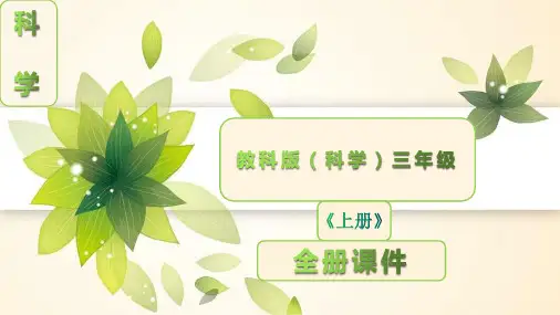教科版科学三年级上册全册全套课件