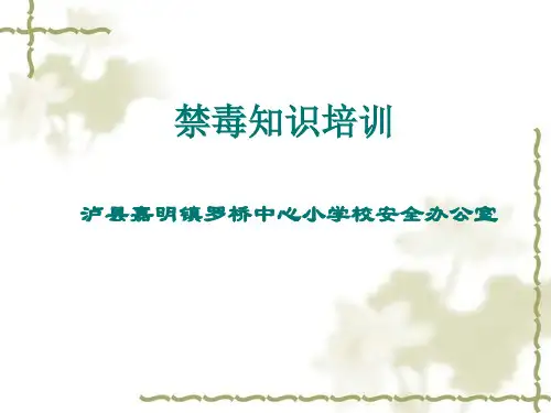 禁毒知识教育培训课件.
