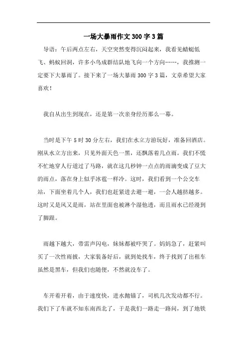 一场大暴雨作文300字3篇