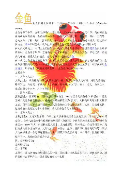 金鱼