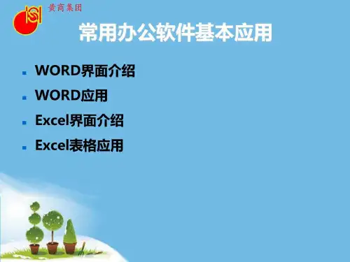 常用办公软件基本操作