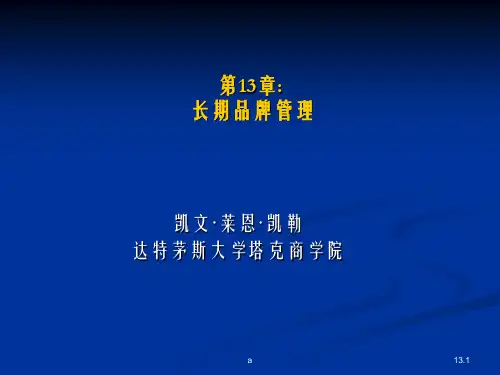 凯勒战略品牌(6)