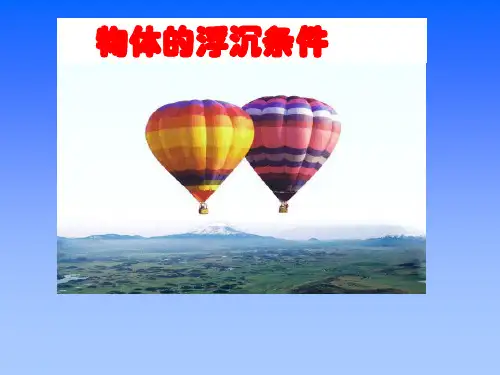 9.3物体的浮沉条件