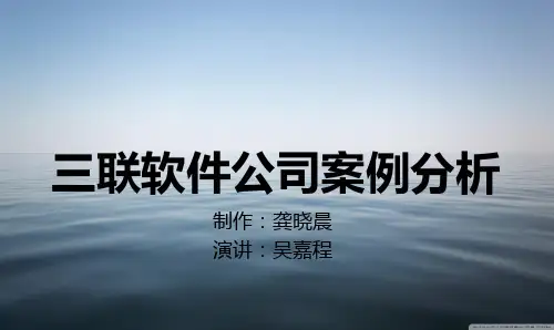 三联软件公司