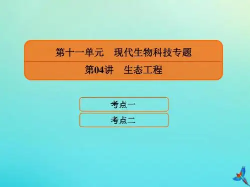 2020高考生物一轮复习11.4生态工程课件