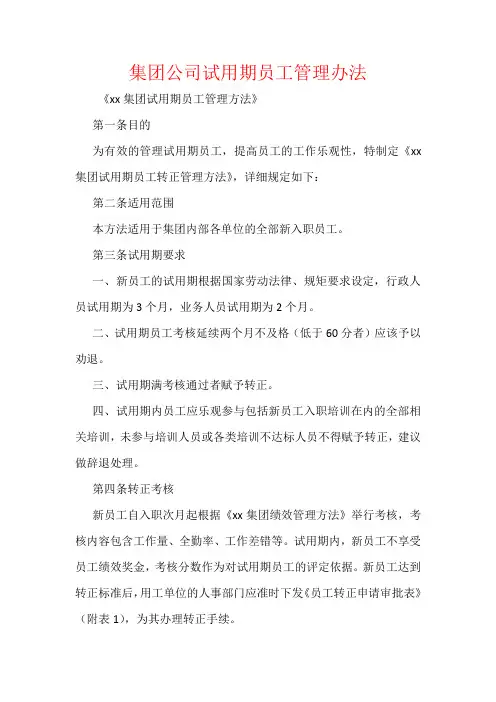 集团公司试用期员工管理办法
