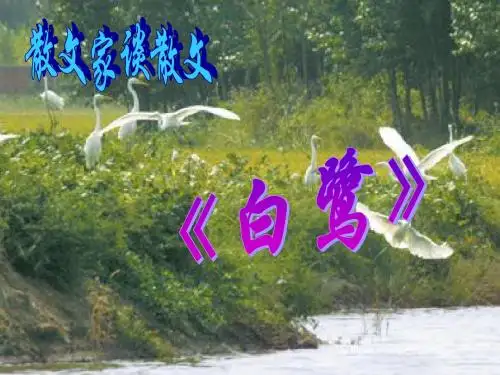 定稿《散文家谈散文》课件2
