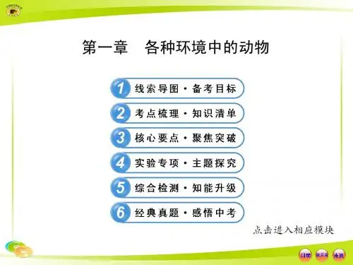 各种环境中的动物复习