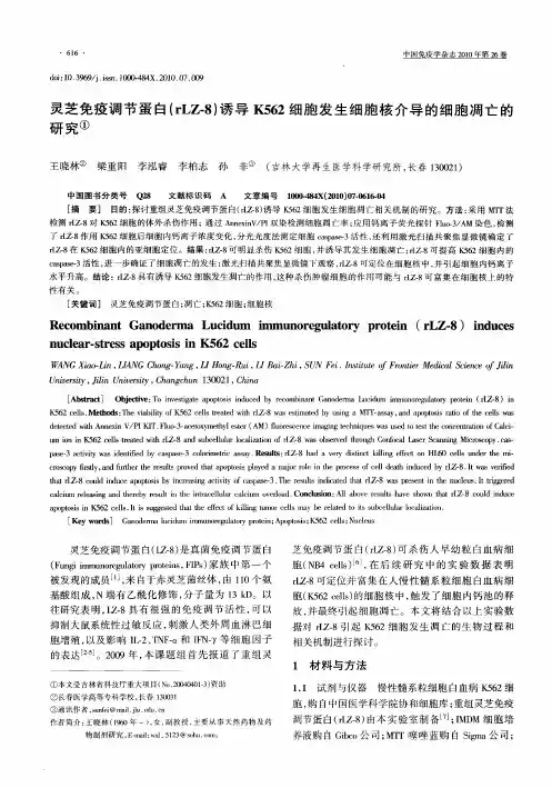 灵芝免疫调节蛋白(rLZ-8)诱导K562细胞发生细胞核介导的细胞凋亡的研究