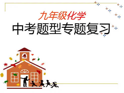 九年级化学中考题型专题复习