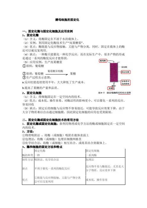 酵母细胞的固定化