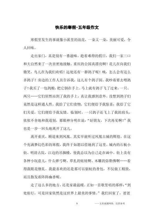 快乐的寒假-五年级作文